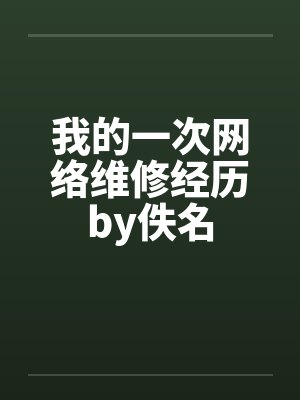 我的一次网络维修经历by佚名封面