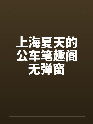 上海夏天的公车笔趣阁无弹窗封面