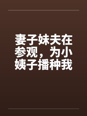 妻子妹夫在参观，为小姨子播种我干翻天by佚名封面
