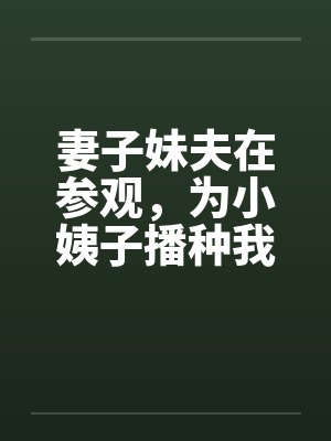 妻子妹夫在参观，为小姨子播种我干翻天笔趣阁无弹窗封面