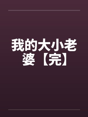 我的大小老婆【完】封面