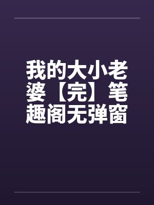 我的大小老婆【完】笔趣阁无弹窗封面