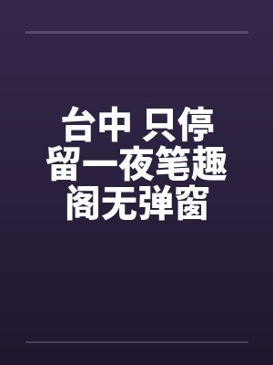 台中 只停留一夜笔趣阁无弹窗封面