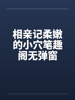 相亲记柔嫩的小穴笔趣阁无弹窗封面