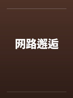 网路邂逅封面