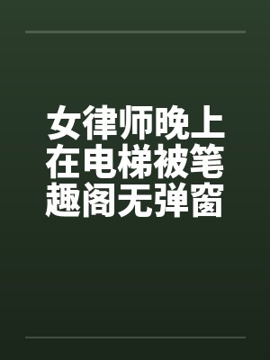 女律师晚上在电梯被笔趣阁无弹窗封面