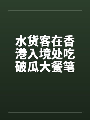 水货客在香港入境处吃破瓜大餐笔趣阁无弹窗封面