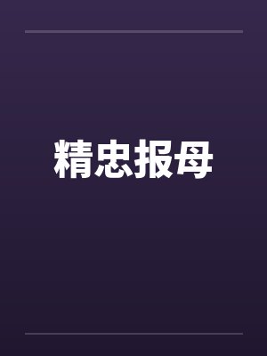 精忠报母封面