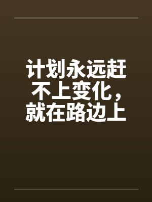 计划永远赶不上变化，就在路边上了！by佚名封面