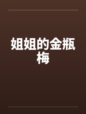 姐姐的金瓶梅封面