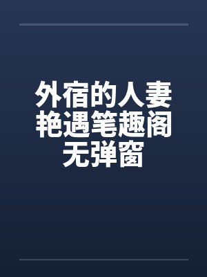 外宿的人妻艳遇笔趣阁无弹窗封面