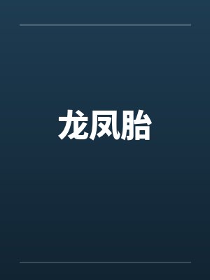 龙凤胎封面