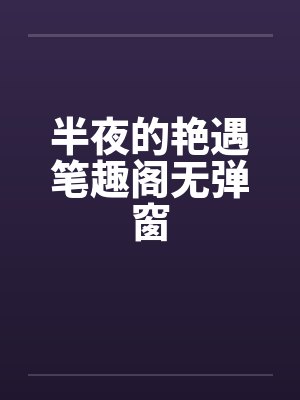 半夜的艳遇笔趣阁无弹窗封面