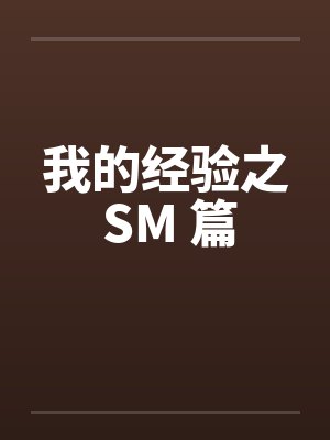我的经验之 SM 篇封面