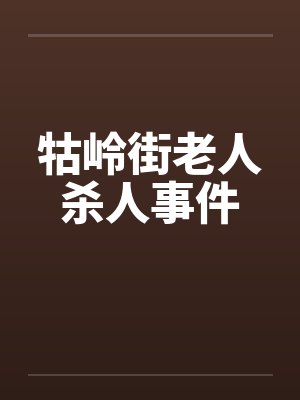 牯岭街老人杀人事件封面