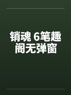 销魂 6笔趣阁无弹窗封面