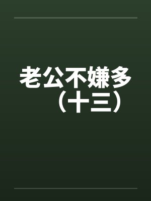 老公不嫌多（十三）封面
