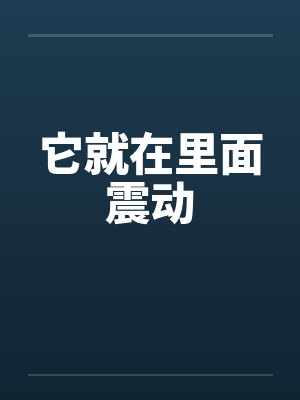 它就在里面震动封面