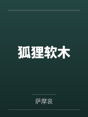 狐狸软木封面