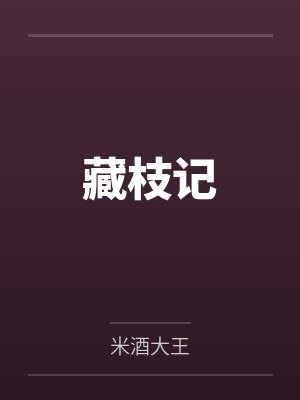 藏枝记封面