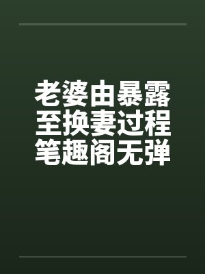 老婆由暴露至换妻过程笔趣阁无弹窗封面