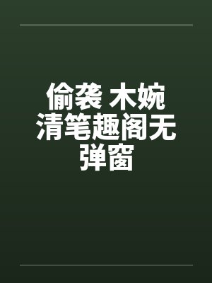 偷袭 木婉清笔趣阁无弹窗封面