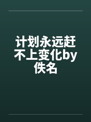 计划永远赶不上变化by佚名封面