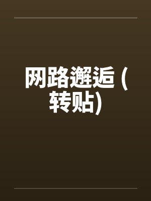 网路邂逅 (转贴)封面