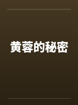 黄蓉的秘密封面