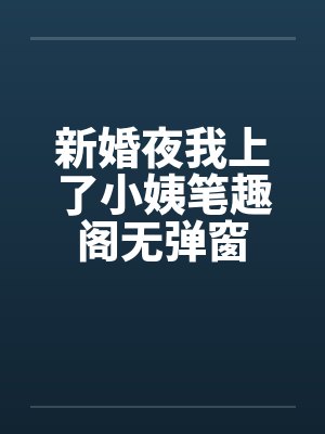 新婚夜我上了小姨笔趣阁无弹窗封面