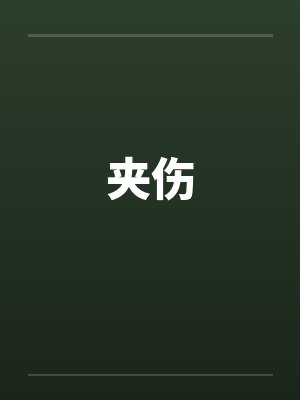 夹伤封面