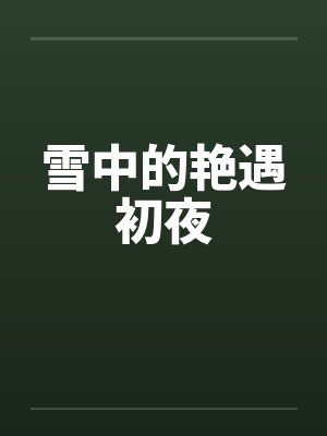雪中的艳遇初夜封面