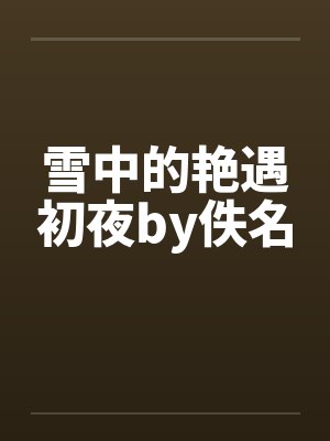 雪中的艳遇初夜by佚名封面
