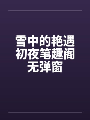 雪中的艳遇初夜笔趣阁无弹窗封面
