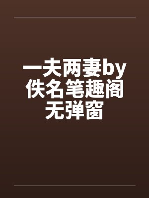 一夫两妻by佚名笔趣阁无弹窗封面