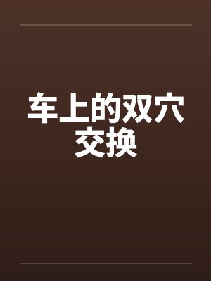 车上的双穴交换封面