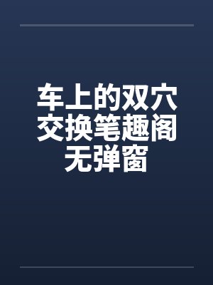 车上的双穴交换笔趣阁无弹窗封面