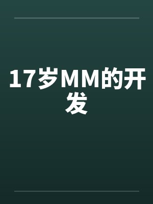 17岁MM的开发封面