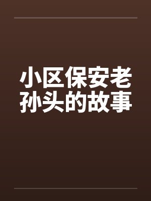 小区保安老孙头的故事封面