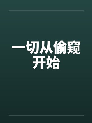 一切从偷窥开始封面