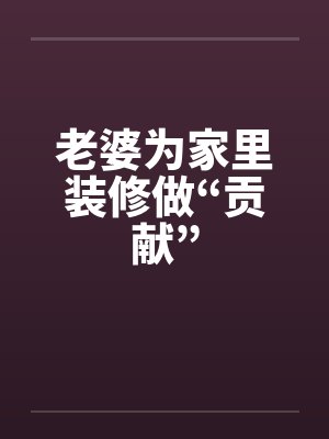 老婆为家里装修做“贡献”封面