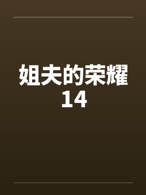 姐夫的荣耀14封面