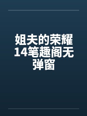 姐夫的荣耀14笔趣阁无弹窗封面