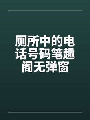 厕所中的电话号码笔趣阁无弹窗封面