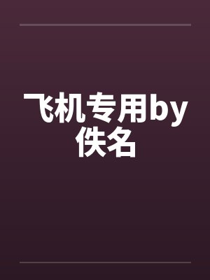 飞机专用by佚名封面