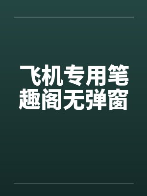 飞机专用笔趣阁无弹窗封面