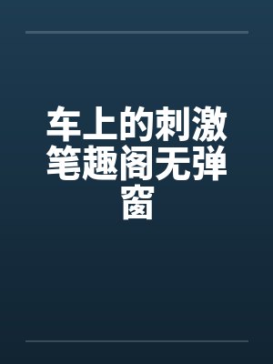 车上的刺激笔趣阁无弹窗封面