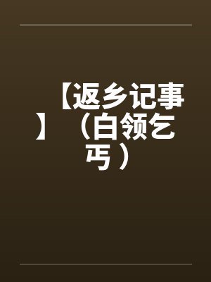 【返乡记事】（白领乞丐 ）封面