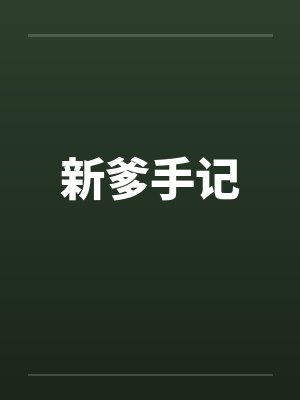 新爹手记封面