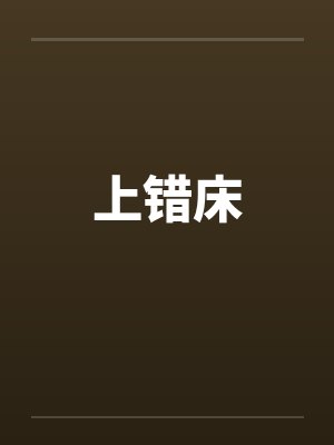 上错床封面